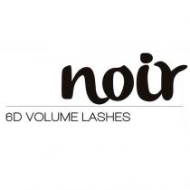 Noir 6D volume lashes