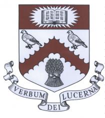 VERBUM DEI LUCERNA