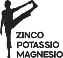 ZINCO POTASSIO MAGNESIO