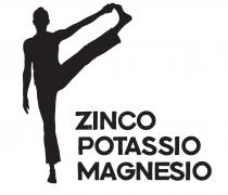 ZINCO POTASSIO MAGNESIO