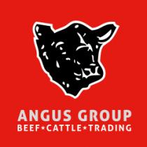 ANGUS GROUP BEEF CATTLE TRADING