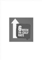 6 WEEK IN-CALF RATE