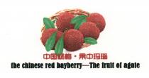 the chinese red bayberry-The fruit of agate