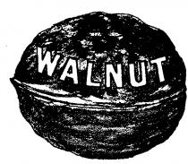 WALNUT