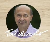 TONI MASCOLO