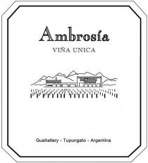 Ambrosía VIÑA UNICA Gualtallary - Tupungato - Argentina