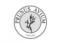 PRUNUS AVIUM COUTURE