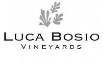 LUCA BOSIO VINEYARDS