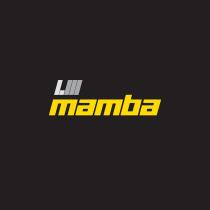 LM mamba