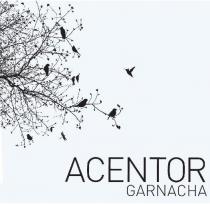 ACENTOR GARNACHA