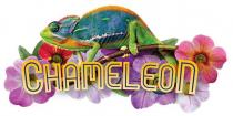 Chameleon