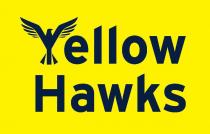 Yellow Hawks