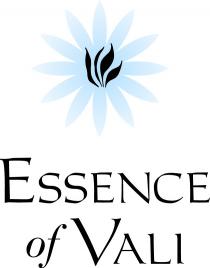 Essence of Vali