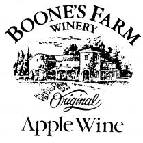 BOONE'S FARM WINERY Original Apple Wine