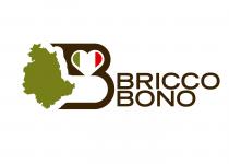 BRICCO BONO