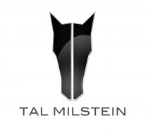 TAL MILSTEIN