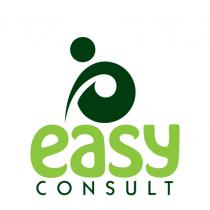 easy CONSULT