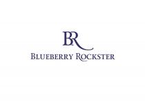 BLUEBERRY ROCKSTER