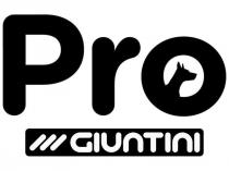 PRO GIUNTINI