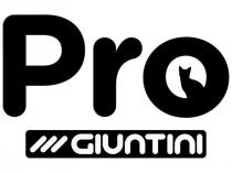 PRO GIUNTINI