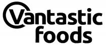 Vantastic Foods