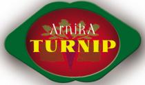 ARNIKA TURNIP