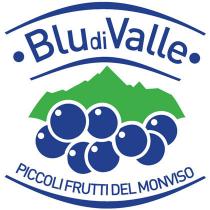 BLU DI VALLE PICCOLI FRUTTI DEL MONVISO