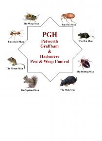 PGH Petworth Graffham and Haslemere Pest and Wasp Control