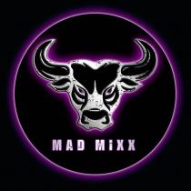 MAD MIXX