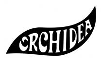 ORCHIDEA