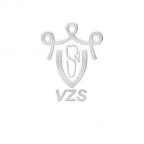 VZS