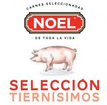 NOEL SELECCION TIERNISIMOS CARNES SELECCIONADAS DE TODA LA VIDA