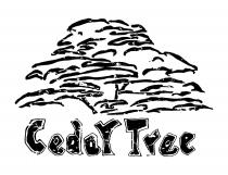 Cedar Tree