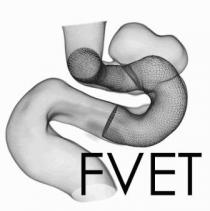 FVET