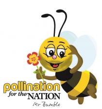 Pollination for the Nation Mr Bumble