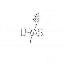 BRAS