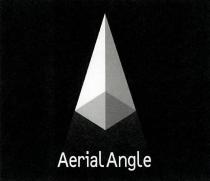 Aerial Angle