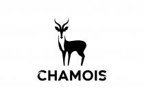 CHAMOIS