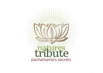 natures tribute pachamama's secrets