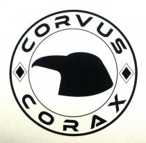 Corvus corax