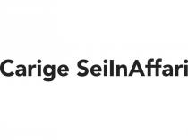 CARIGE SEI IN AFFARI