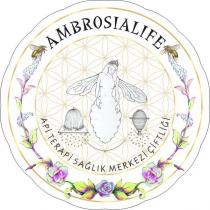 ambrosialife apiterapi saglik merkezi çiftligi