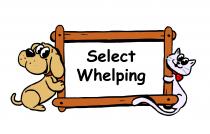 Select Whelping