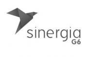 sinergia G6