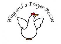 Wing and a Prayer Rescue