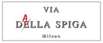 via dAlla spiga milano