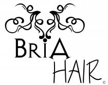 Bria Hair