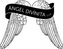 ÁNGEL DIVÍNITA S.XXI