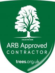 ARB Approved CONTRACTOR trees.org.uk