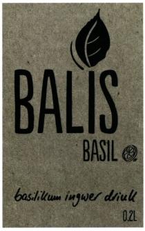 BALIS BASIL basilikum ingwer drink